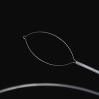 Net type amannɔne nipadua mu ahoɔden .