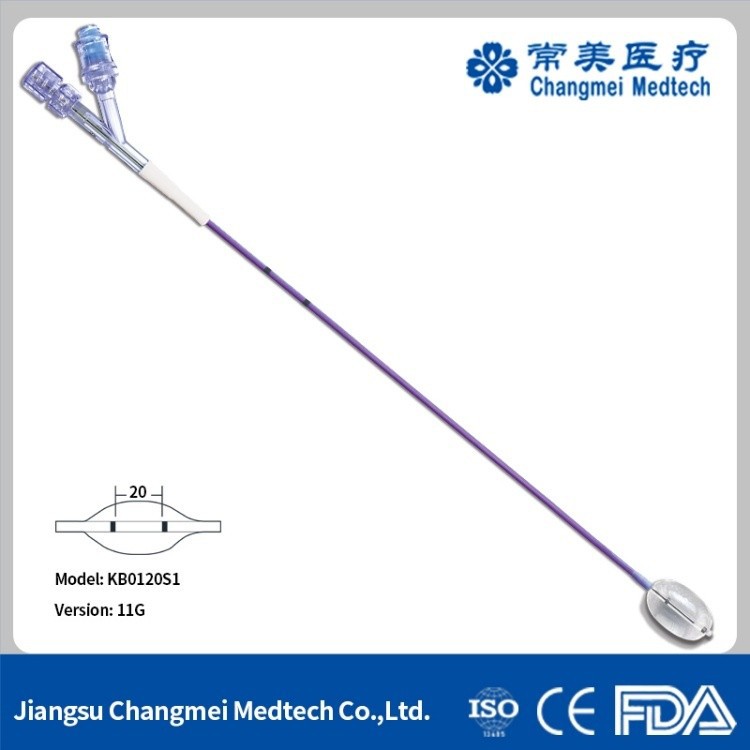 Vertebral Balloon Catheters